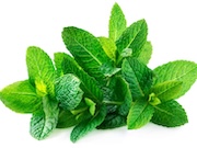 4-phytocean.jpg